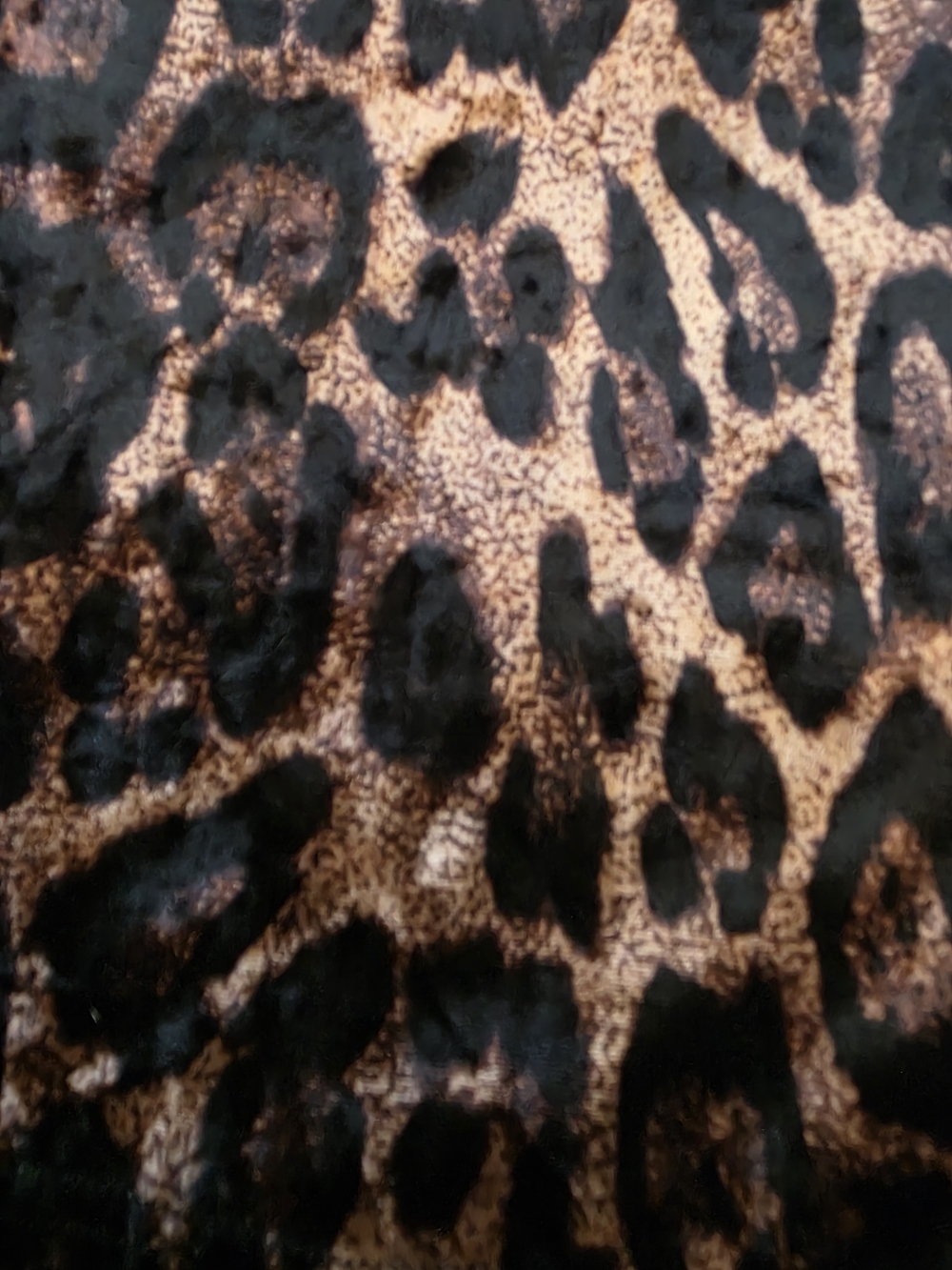 Potter's Pot Leopard Print A-Line Mini Skirt - Black & Brown - Picture 3 of 5